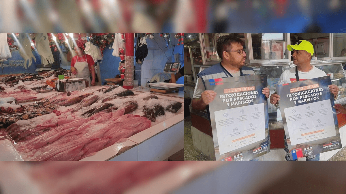 Aumentan las intoxicaciones por consumo de productos marinos Aumentan las intoxicaciones por consumo de productos marinos