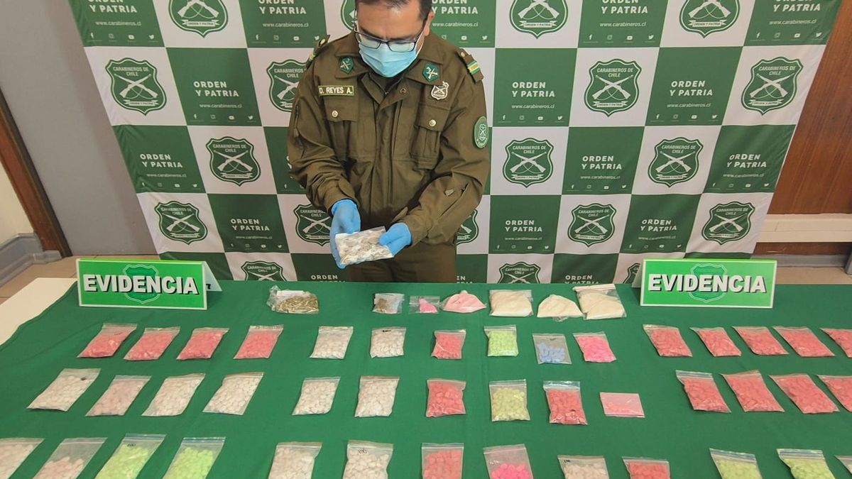 Desarticulan red de drogas: millonario decomiso en el norte Desarticulan red de drogas: millonario decomiso en el norte