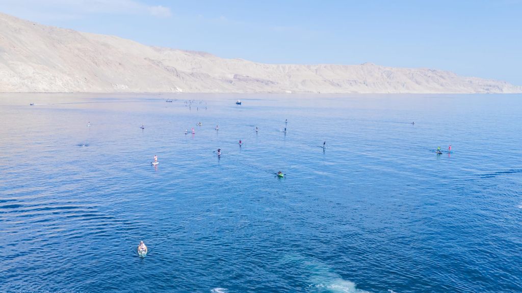 Día Mundial de las Ballenas, Mejillones