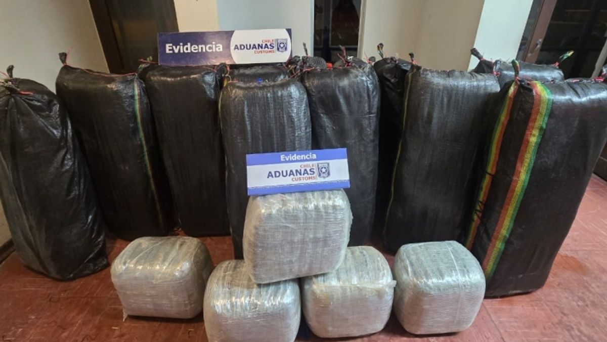 Marihuana Ollagüe Marihuana Ollagüe