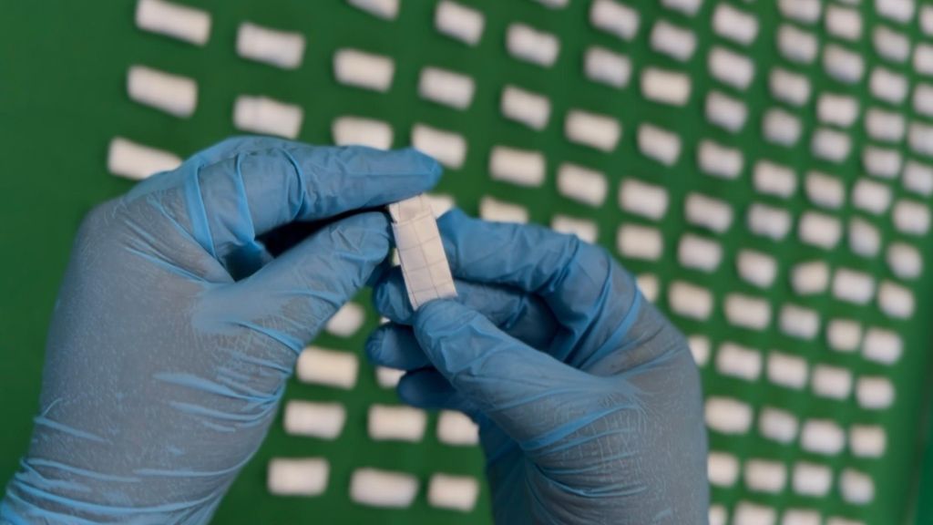 Droga campamento Eulogio Gordo. Droga campamento Eulogio Gordo.