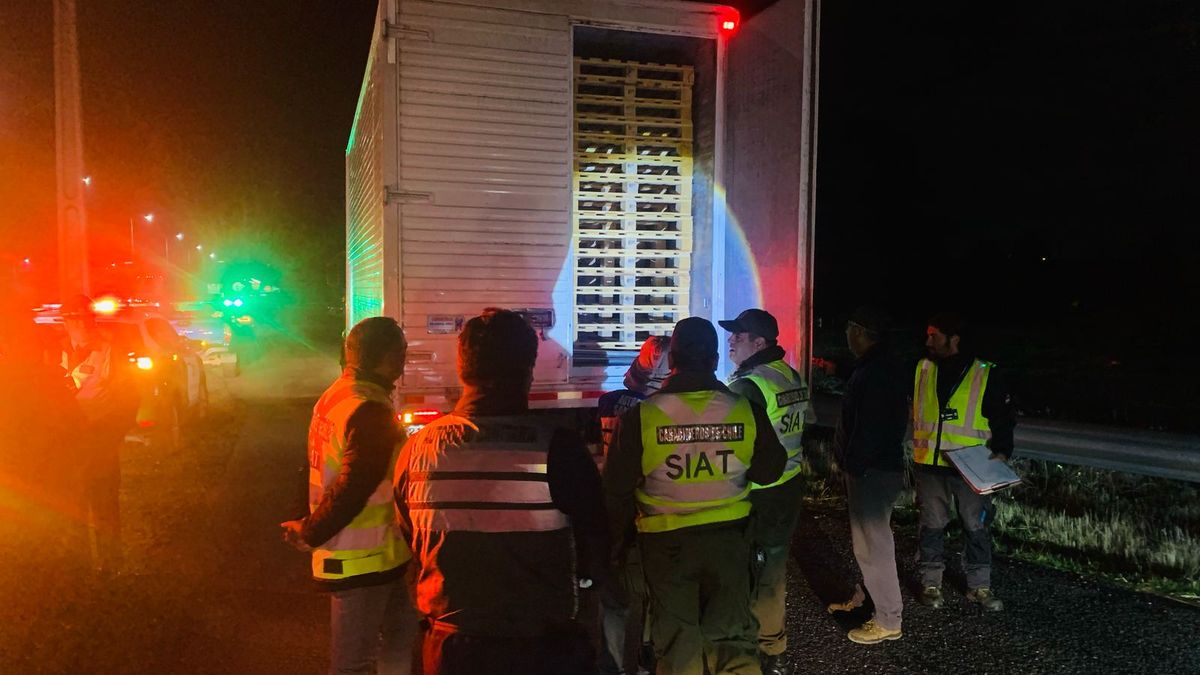 Sernapesca decomisa 93 toneladas de productos del mar ilegal en Semana Santa Sernapesca decomisa 93 toneladas de productos del mar ilegal en Semana Santa