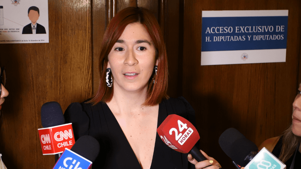 Diputada Catalina Pérez Diputada Catalina Pérez