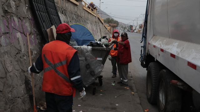 Microbasurales Microbasurales