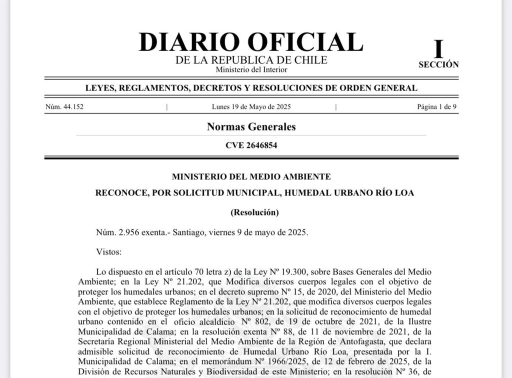 WhatsApp Image 2025-05-20 at 1 WhatsApp Image 2025-05-20 at 1