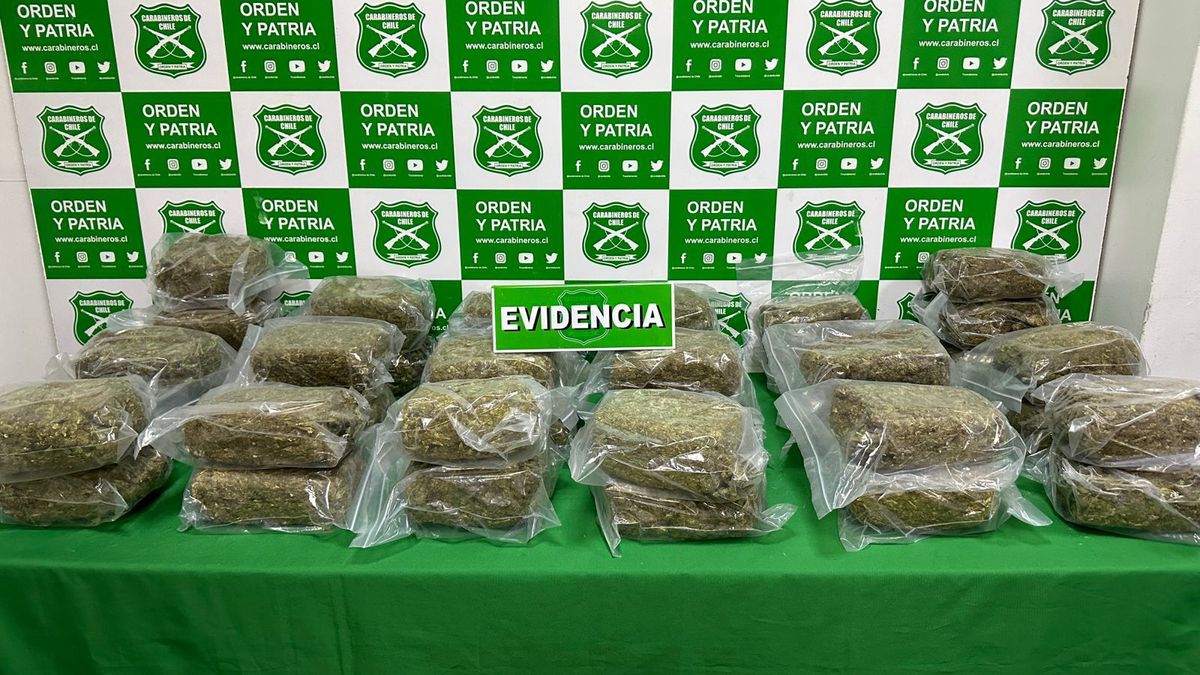 Carabineros de Antofagasta decomisa millonaria cantidad de droga Carabineros de Antofagasta decomisa millonaria cantidad de droga