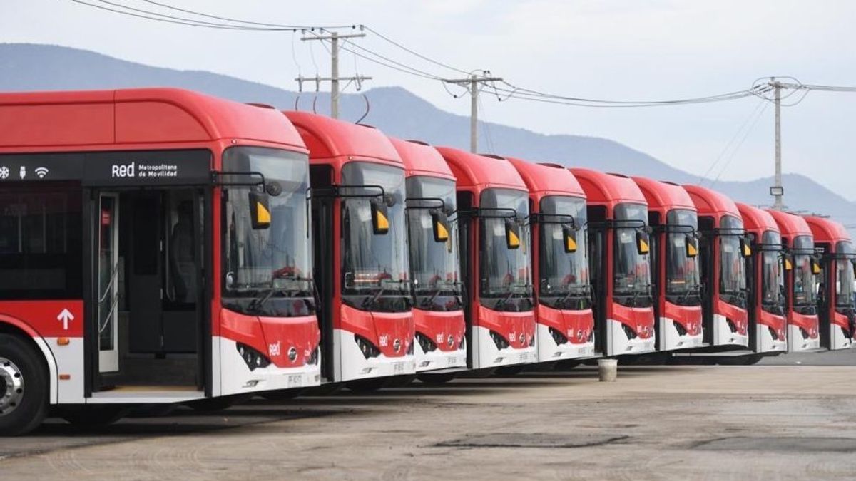 buses electricos buses electricos