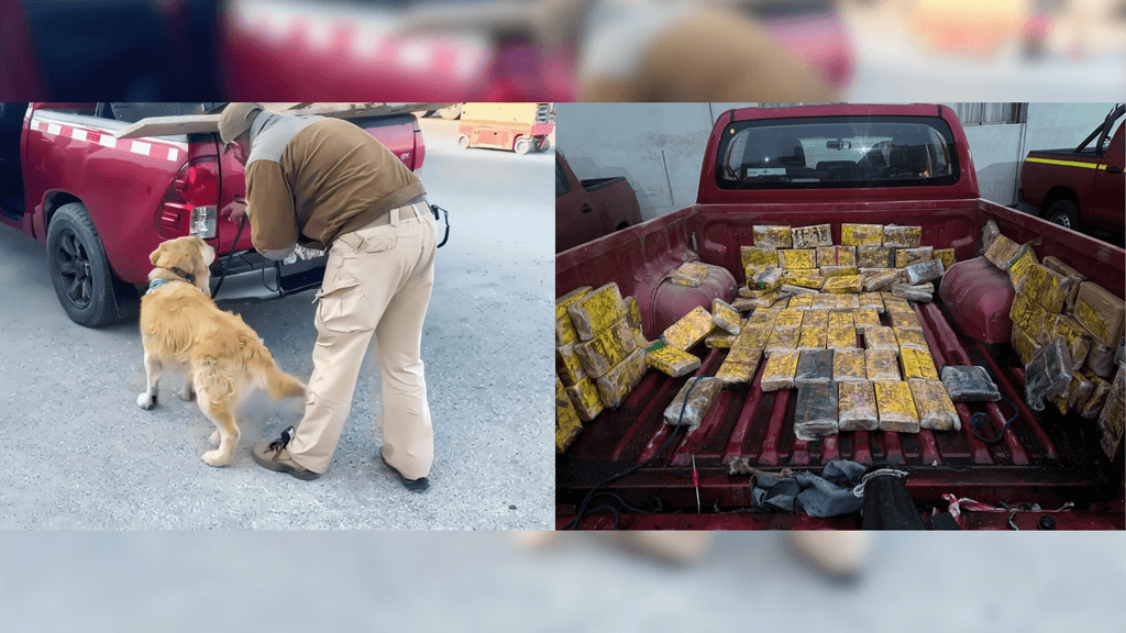 Decomiso drogas Decomiso drogas