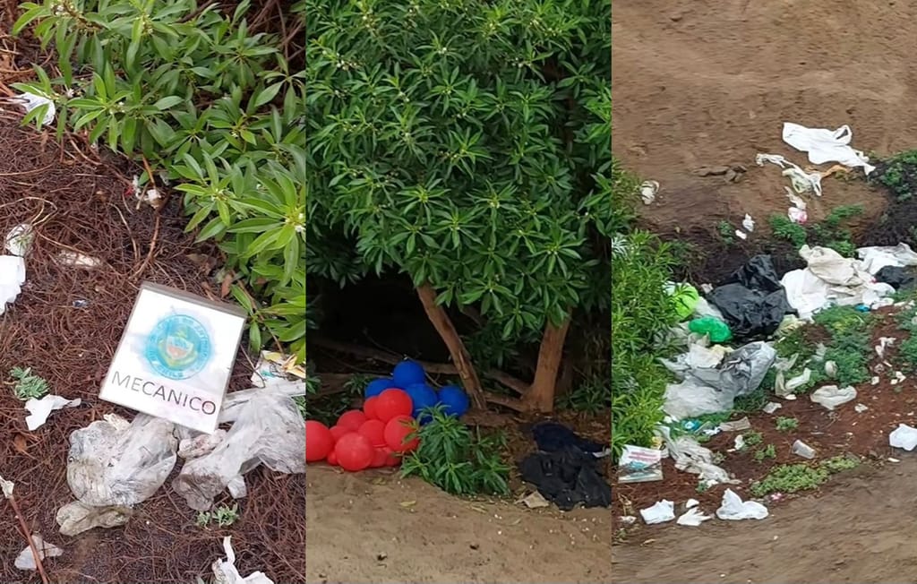 Basura en Humedal Vertiente de La Chimba Norte Basura en Humedal Vertiente de La Chimba Norte