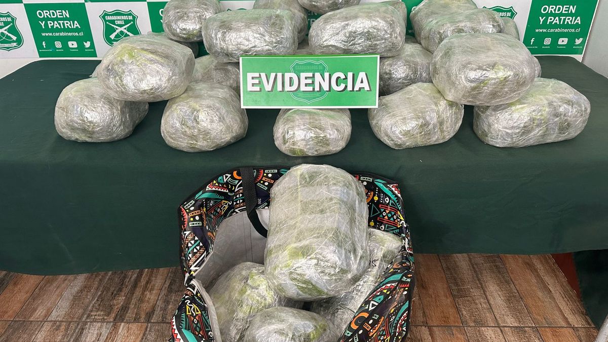 Seis detenidos por tráfico de drogas en Antofagasta Seis detenidos por tráfico de drogas en Antofagasta