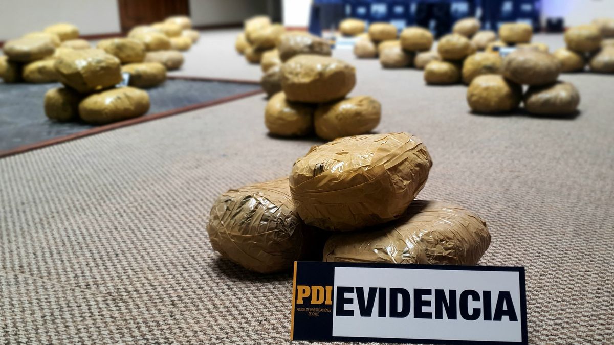 Desarticulan centro de acopio de drogas en Antofagasta Desarticulan centro de acopio de drogas en Antofagasta