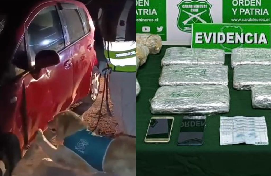 Tráfico de Drogas Tráfico de Drogas