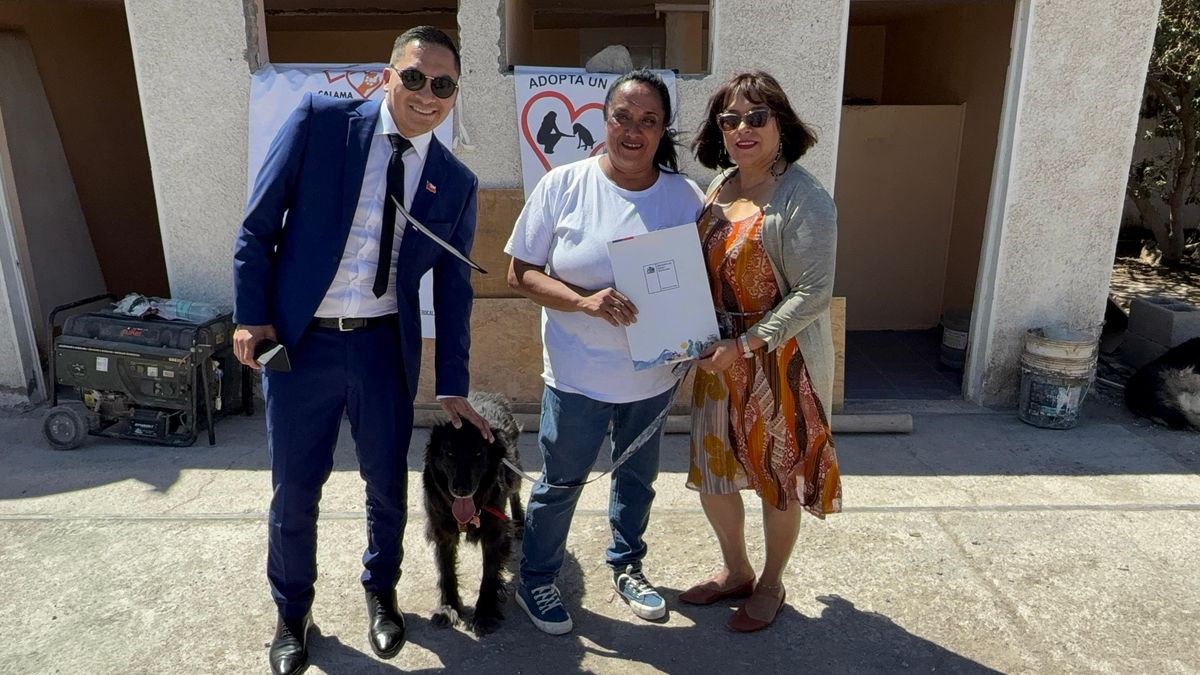 Calama destina terrenos fiscales para refugio de perros Calama destina terrenos fiscales para refugio de perros