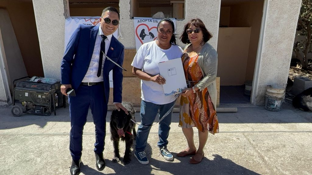 perritos Calama perritos Calama