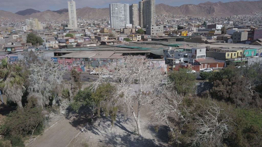 Vivero municipal Vivero municipal