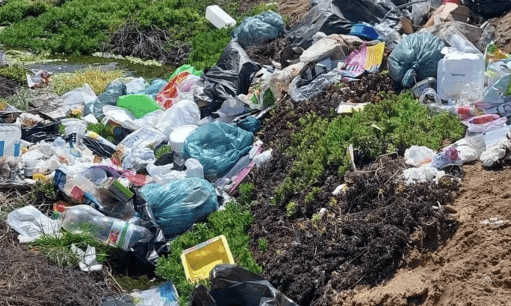 Humedal La Chimba Humedal La Chimba