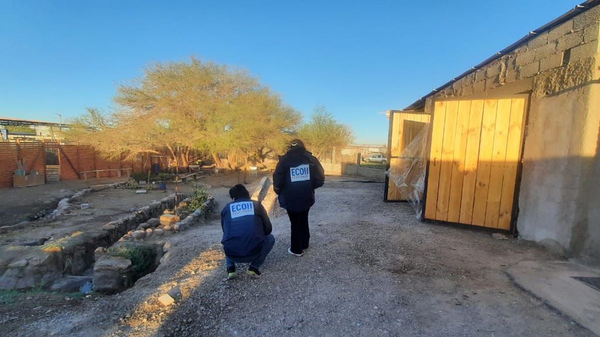 Tragedia en Calama: menor asesinado en fiesta Tragedia en Calama: menor asesinado en fiesta