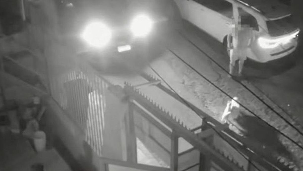 Atropello dos perros Antofagasta Atropello dos perros Antofagasta