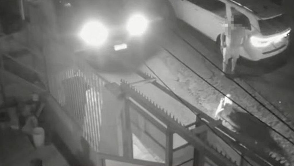 Atropello dos perros Antofagasta Atropello dos perros Antofagasta