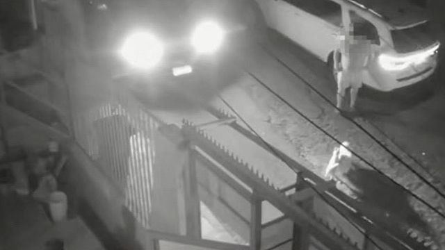 Atropello dos perros Antofagasta Atropello dos perros Antofagasta