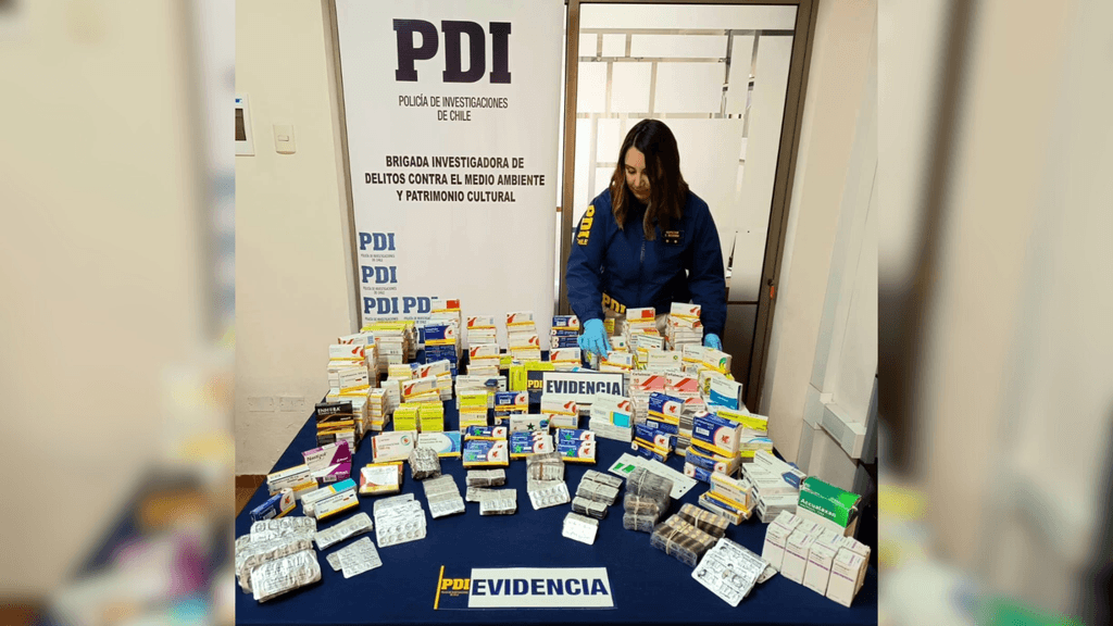 PDI Evidencia PDI Evidencia