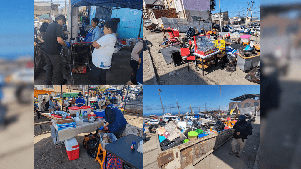 Fiscalización Feria de las Pulgas Fiscalización Feria de las Pulgas