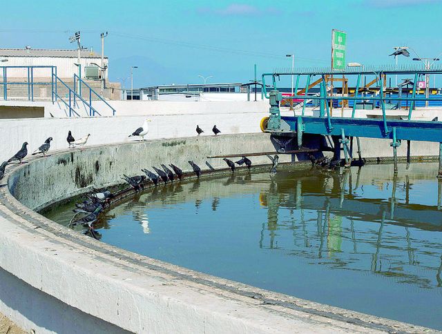 aguas servidas