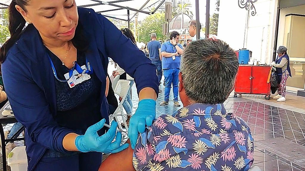 vacunación vacunación