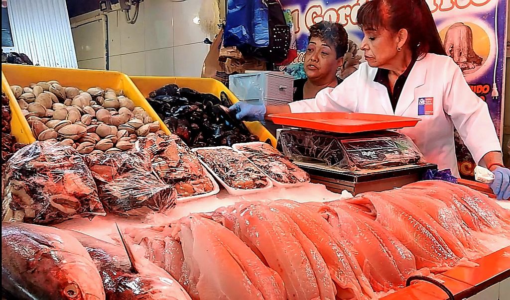 Seremi de Salud Seremi de Salud