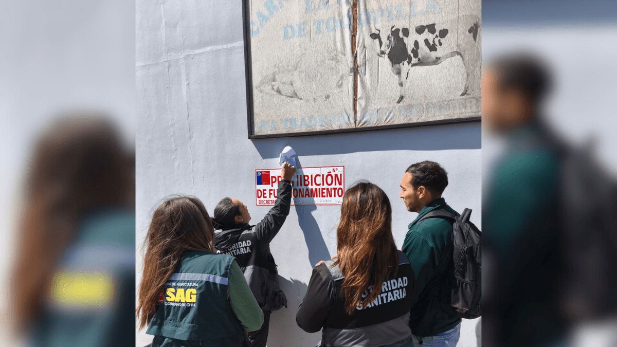 Clausuran carnicería en Tocopilla por insalubridad Clausuran carnicería en Tocopilla por insalubridad