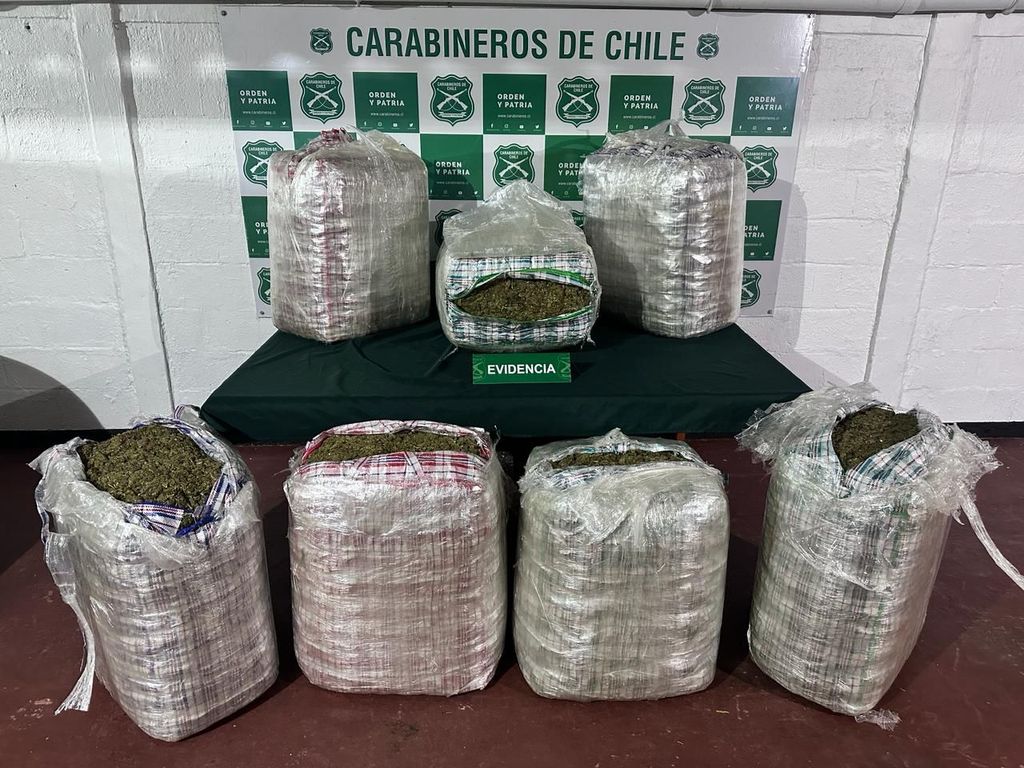 Marihuana Incautada Marihuana Incautada