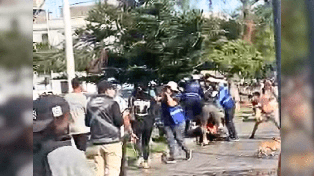 Pelea Plaza Colón Pelea Plaza Colón