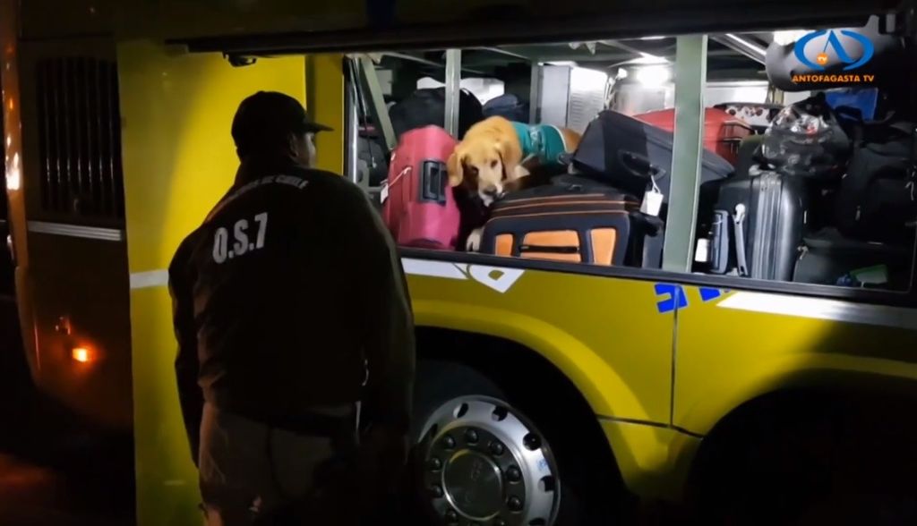 Control Equipaje Bus Control Equipaje Bus