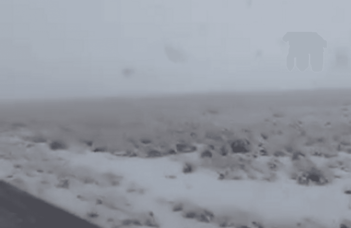 Nevadas Nevadas
