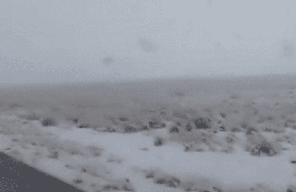 Nevadas Nevadas