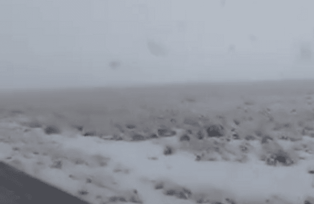 Nevadas Nevadas