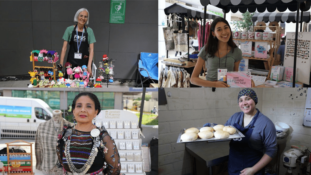 FOSIS y Dedecon relanzan apoyo a emprendedores FOSIS y Dedecon relanzan apoyo a emprendedores