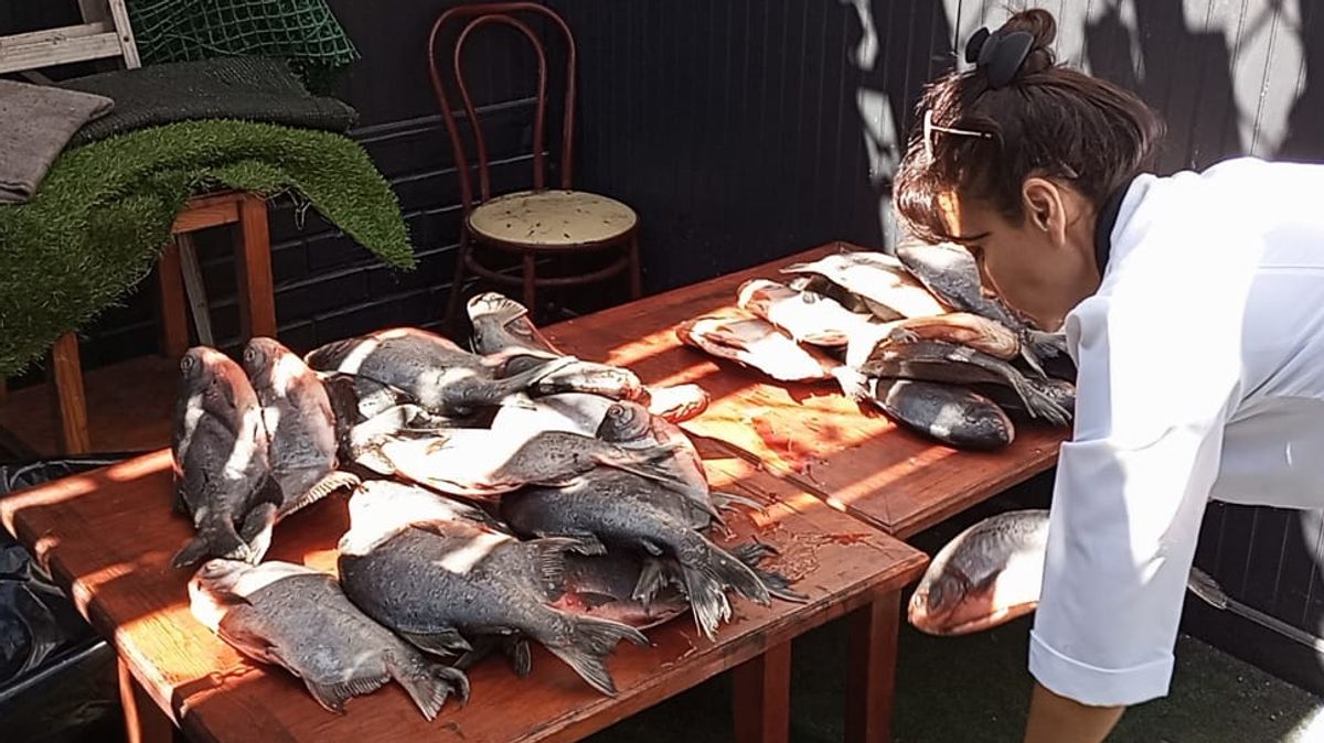 Restorán antofagastino clausurado por graves fallas sanitarias Restorán antofagastino clausurado por graves fallas sanitarias