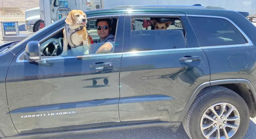 Robo Vehículo Senador Pedro Araya Robo Vehículo Senador Pedro Araya