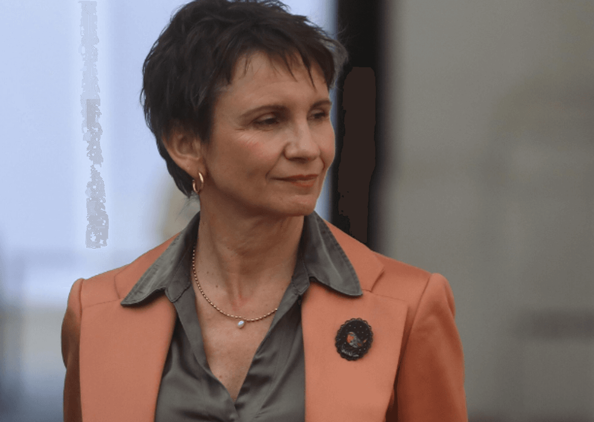 Carolina Tohá deja cargo en el Gobierno para postularse a la presidencia Carolina Tohá deja cargo en el Gobierno para postularse a la presidencia