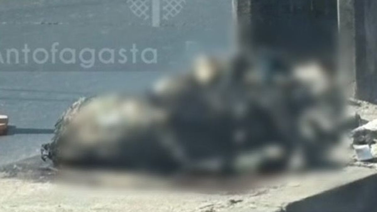 Perro quemado Avenida Argentina Antofagasta Perro quemado Avenida Argentina Antofagasta