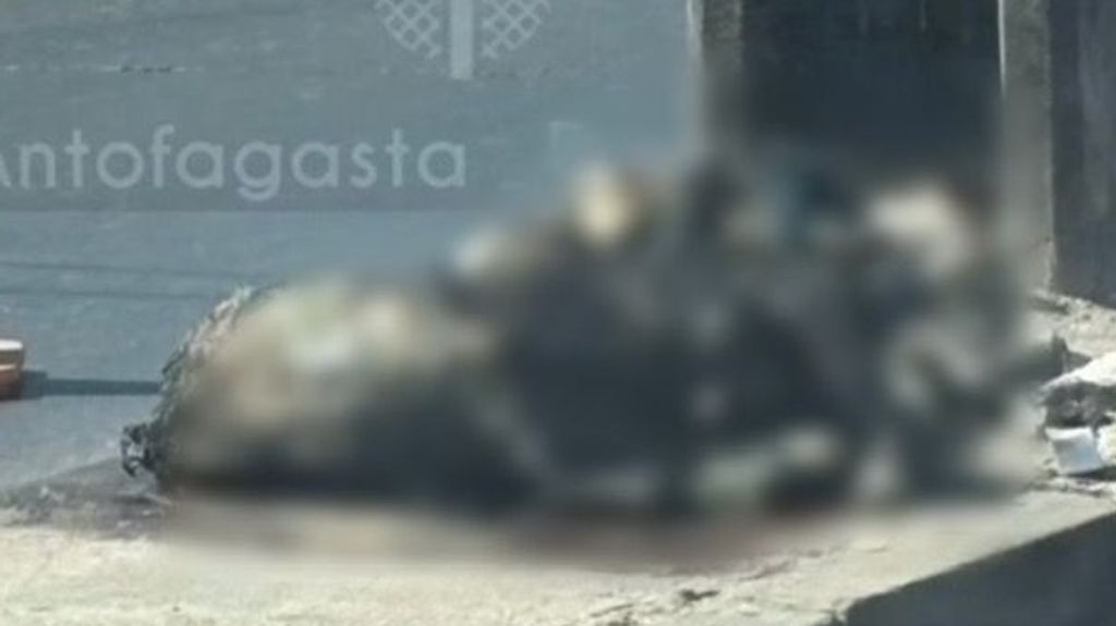 Perro quemado Avenida Argentina Antofagasta Perro quemado Avenida Argentina Antofagasta