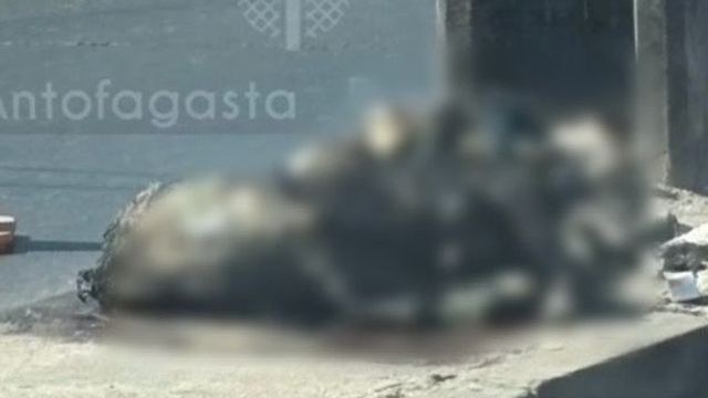 Perro quemado Avenida Argentina Antofagasta Perro quemado Avenida Argentina Antofagasta