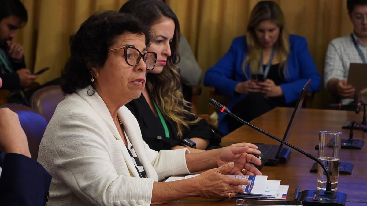 Ministra de Minería propone reforma en Enami Ministra de Minería propone reforma en Enami