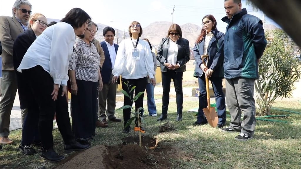 Árboles por la Memoria Árboles por la Memoria