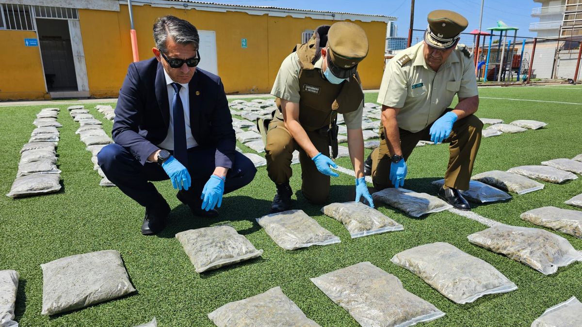 Incautados 355 kg de droga en Antofagasta: conductor queda en prisión Incautados 355 kg de droga en Antofagasta: conductor queda en prisión