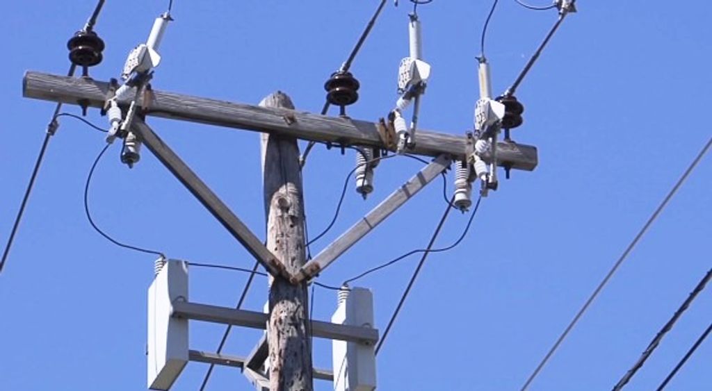 1000087867 1000087867