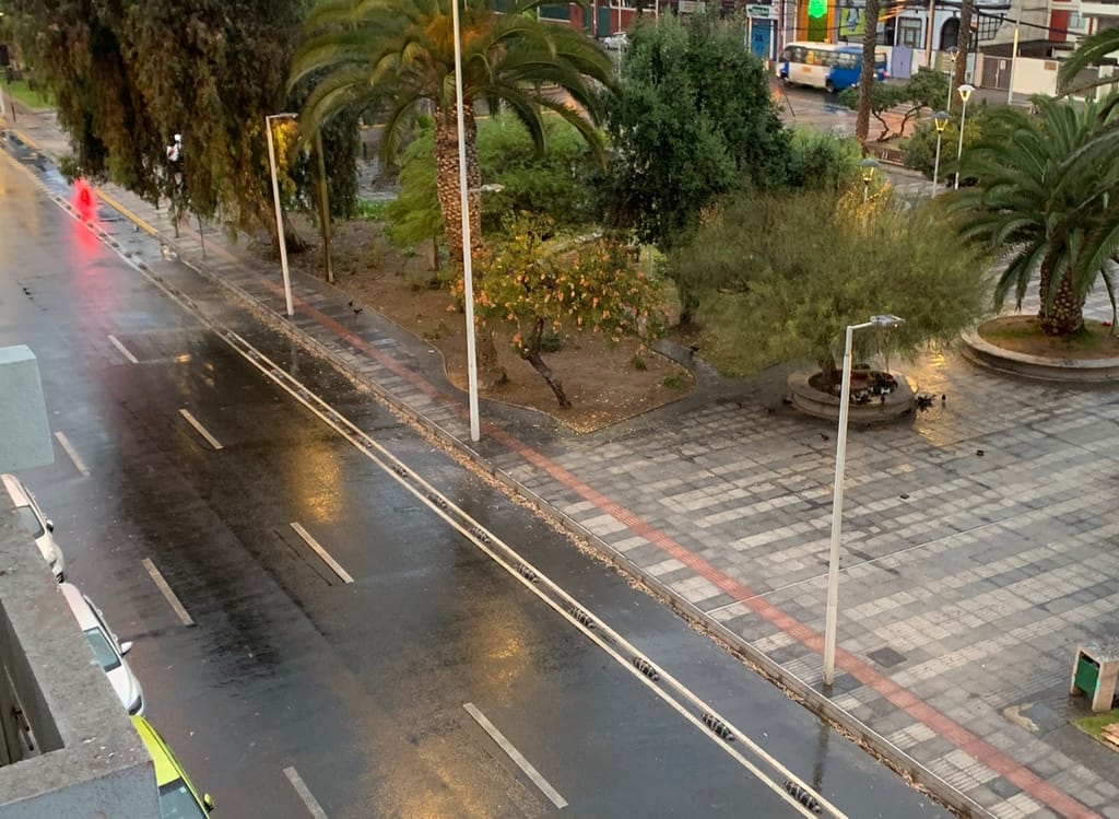 1000033718 1000033718