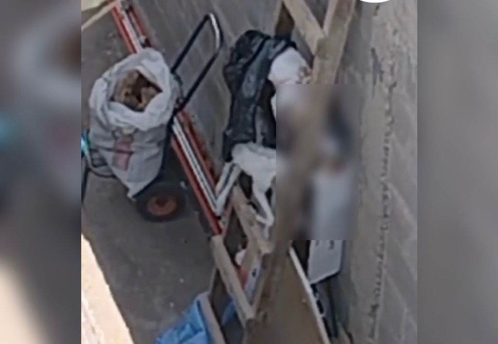 Denuncia Perros Faenados Calama Denuncia Perros Faenados Calama