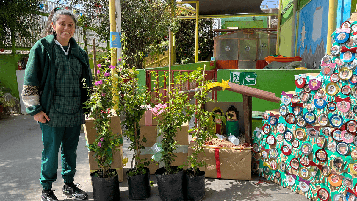 Establecimientos educativos de Antofagasta se llenarán de buganvilias Establecimientos educativos de Antofagasta se llenarán de buganvilias